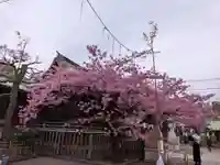 新宿下落合氷川神社(東京都)
