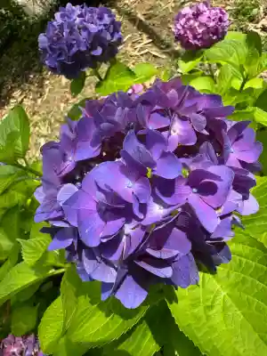 神炊館神社 ⁂奥州須賀川総鎮守⁂(福島県)
