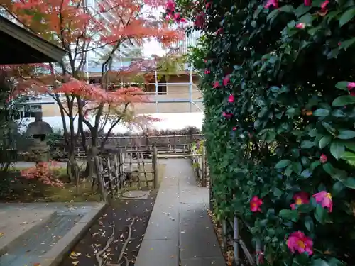 愛宕神社(東京都)