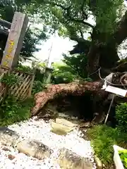 牛嶋天満宮の建物その他