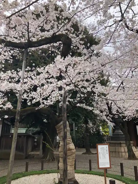 靖國神社の庭園