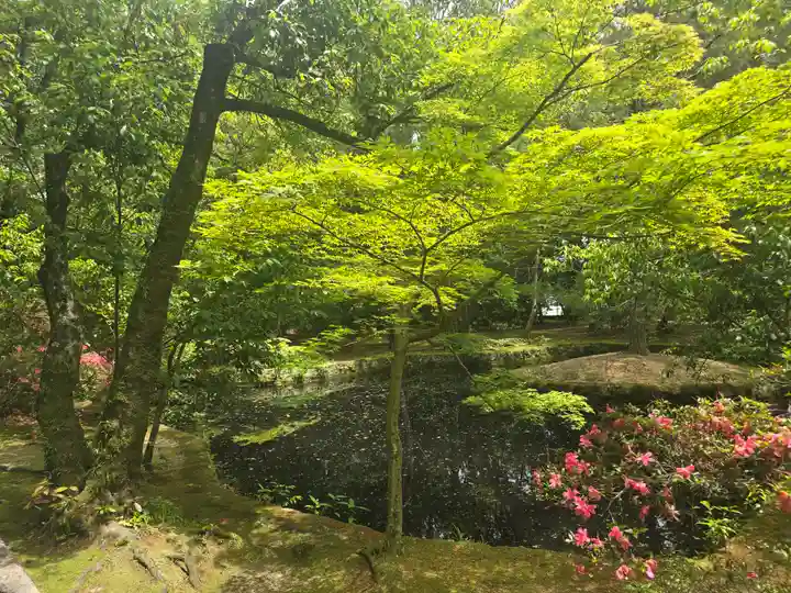 唐招提寺(奈良県)