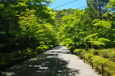 二尊院(京都府)