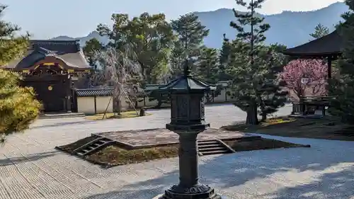 大覚寺(京都府)