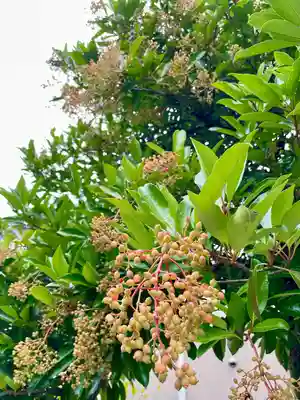 横近習大神宮(山梨県)