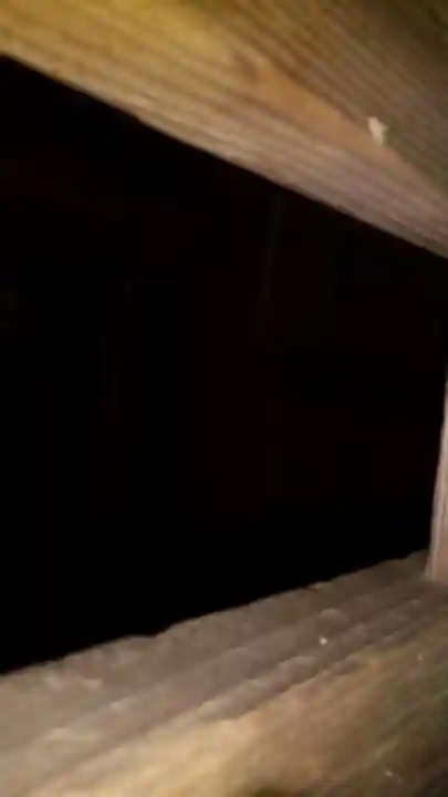 神社(名称不明)(茨城県)