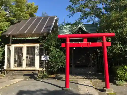 稲毛神社の鳥居