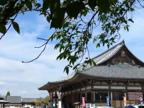 東寺（教王護国寺）の{uncategorized: "未分類", other: "その他", undefined: "問題あり", building: "その他建物", grave: "お墓", sacred_gate: "鳥居", guardian: "狛犬", statue: "像", buddha: "仏像", history: "歴史", nature: "自然", garden: "庭園", animal: "動物", pagoda: "塔", temizu: "手水舎", mountain_gate: "山門・神門", sanctuary: "本殿・本堂", subordinate: "末社・摂社", art: "芸術", scenery: "景色", jizo: "地蔵", ema: "絵馬", goshuin: "御朱印", omikuji: "おみくじ", items: "授与品その他", amulet: "お守り", goshuincho: "御朱印帳", eats: "食事", festival: "お祭り", votive_dance: "神楽", shichigosan: "七五三参", wedding: "結婚式", experience: "体験その他", initially: "初詣", around: "周辺", anti_infection: "感染症対策"}