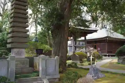 安養院のその他建物