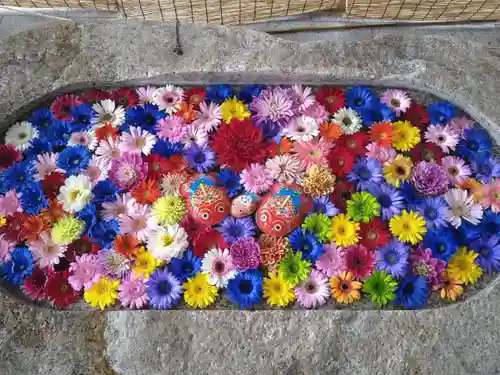 金井神社の手水舎