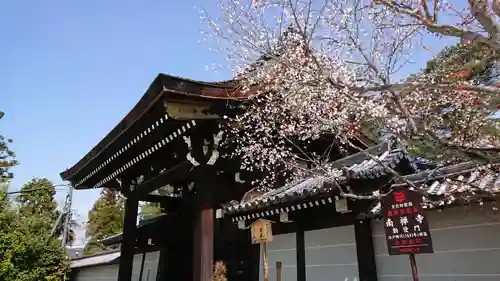 南禅寺の山門・神門