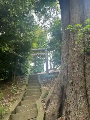 宇津貫毘沙門天(東京都)