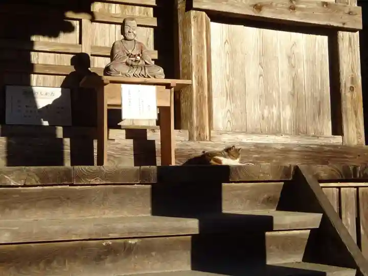 小松寺の動物