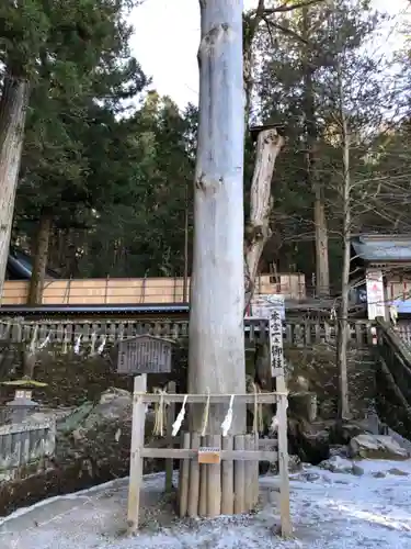 諏訪大社のその他建物