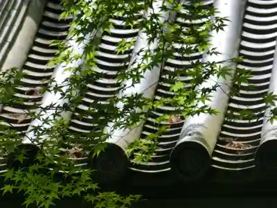 光明寺（粟生光明寺）のその他建物