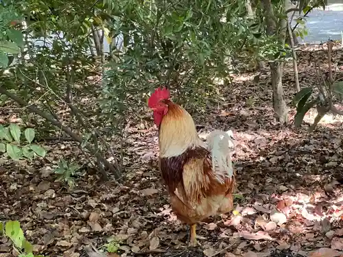 熱田神宮(愛知県)