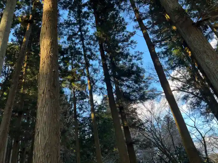 大宮温泉神社(栃木県)