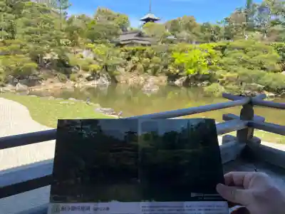 仁和寺の{uncategorized: "未分類", other: "その他", undefined: "問題あり", building: "その他建物", grave: "お墓", sacred_gate: "鳥居", guardian: "狛犬", statue: "像", buddha: "仏像", history: "歴史", nature: "自然", garden: "庭園", animal: "動物", pagoda: "塔", temizu: "手水舎", mountain_gate: "山門・神門", sanctuary: "本殿・本堂", subordinate: "末社・摂社", art: "芸術", scenery: "景色", jizo: "地蔵", ema: "絵馬", goshuin: "御朱印", omikuji: "おみくじ", items: "授与品その他", amulet: "お守り", goshuincho: "御朱印帳", eats: "食事", festival: "お祭り", votive_dance: "神楽", shichigosan: "七五三参", wedding: "結婚式", experience: "体験その他", initially: "初詣", around: "周辺", anti_infection: "感染症対策"}
