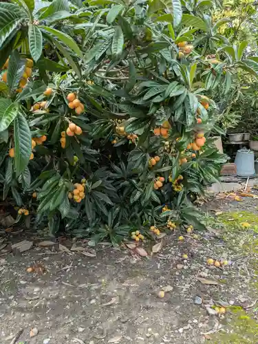 念徳寺(岐阜県)