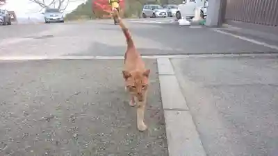 南法華寺（壷阪寺）(奈良県)