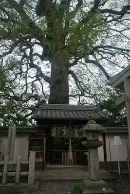 新熊野神社の山門・神門