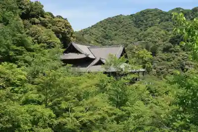 長谷寺(奈良県)