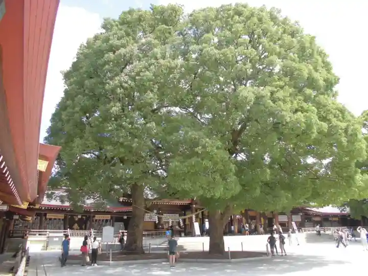 明治神宮の自然