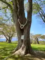 愛宕神社(岩手県)