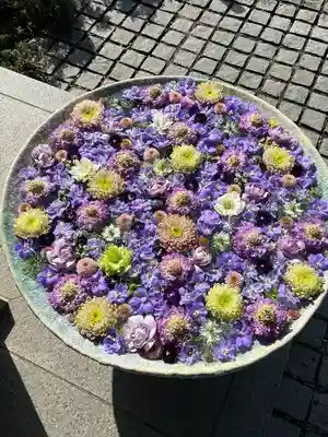 行田八幡神社(埼玉県)