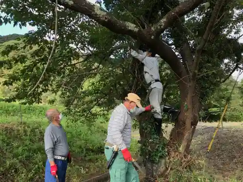 高司神社〜むすびの神の鎮まる社〜の体験その他