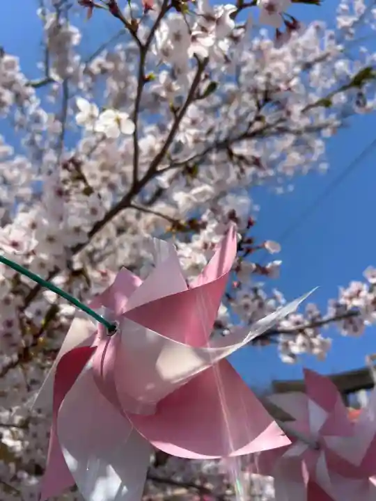 仙台八坂神社(宮城県)