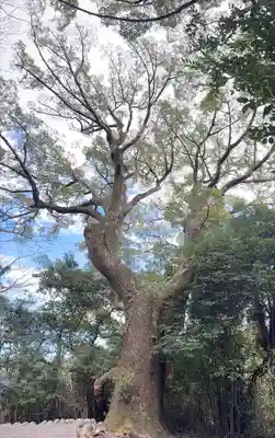 月讀宮（皇大神宮別宮）(三重県)