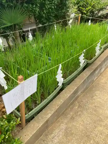 横浜御嶽神社(神奈川県)
