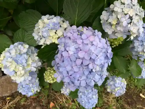 王子神社の自然