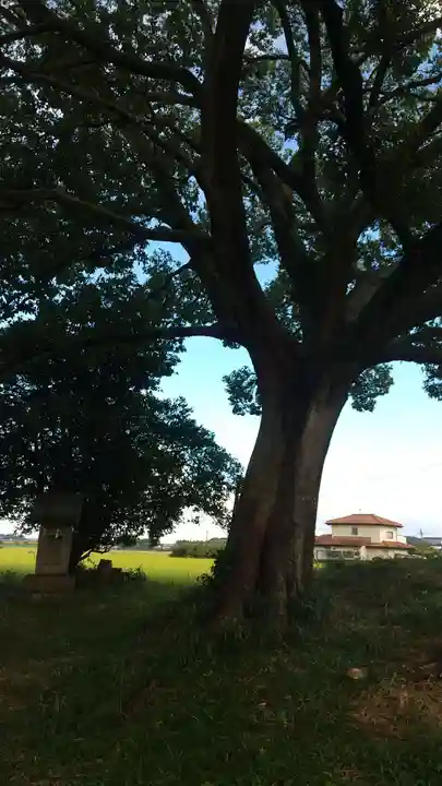 祠(名称不明)(茨城県)