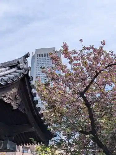 荘厳寺(東京都)