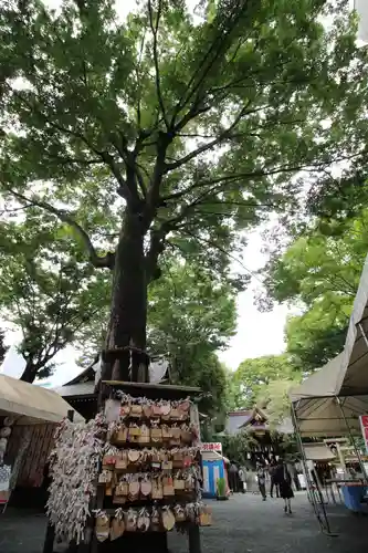 子安神社の絵馬