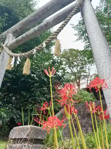 たばこ神社の鳥居