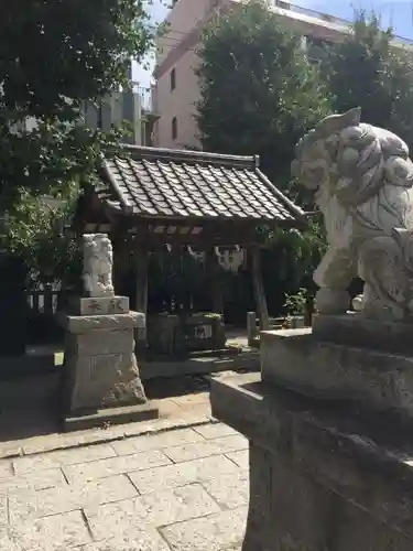 柏神社の狛犬