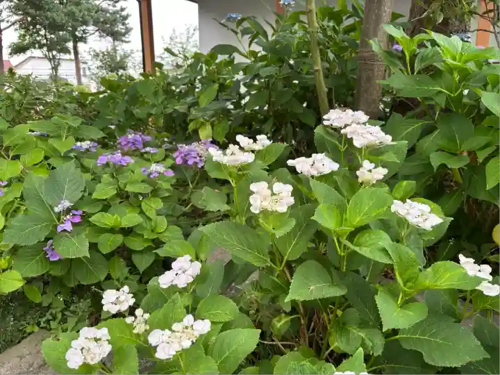 西野神社(北海道)