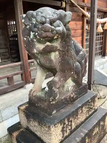 住吉神社の狛犬