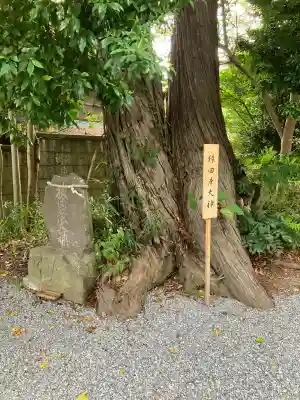 星宮神社(栃木県)