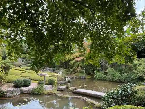 退蔵院(京都府)