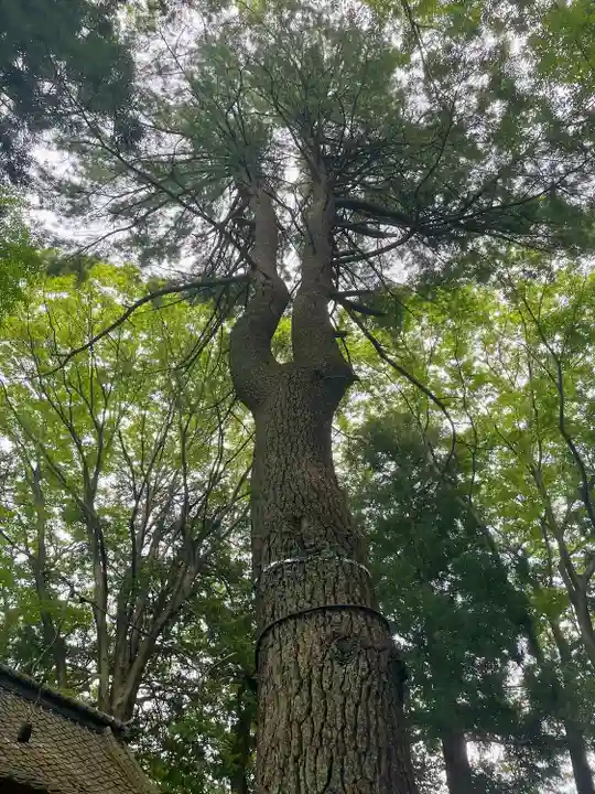 鹿島神社(宮城県)