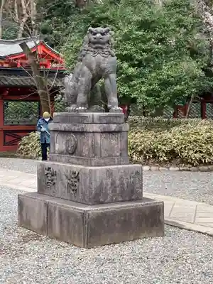 根津神社の狛犬