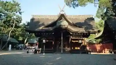 住吉大社の本殿・本堂