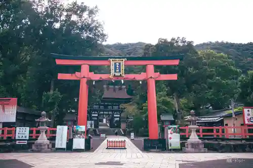 松尾大社の鳥居