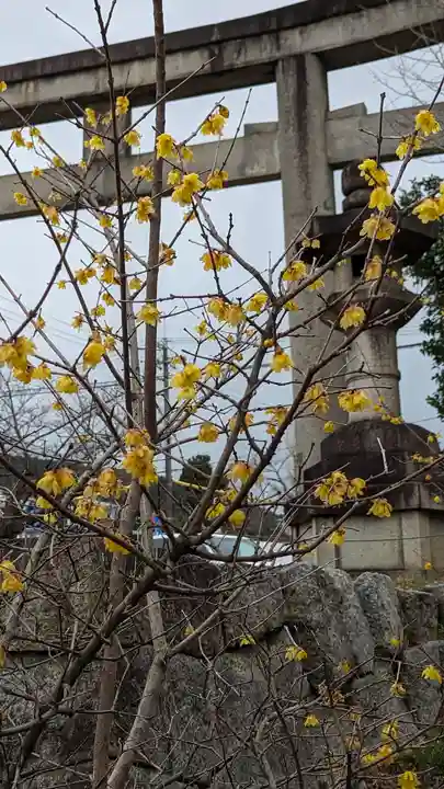 新日吉神宮(京都府)