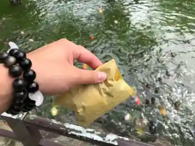 宗像大社(福岡県)