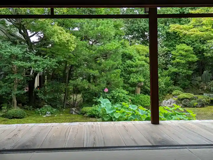 本法寺(京都府)